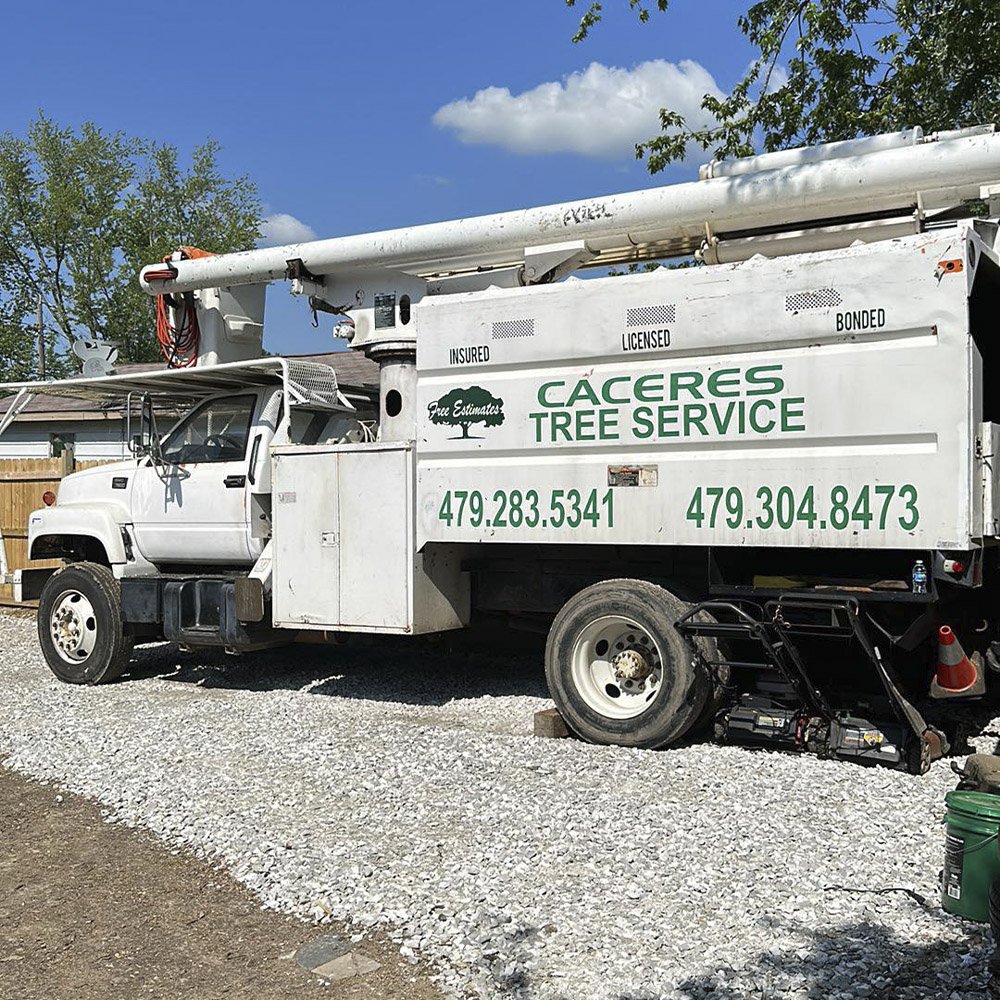 Caceres Tree Service