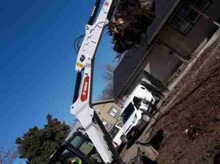 Caceres Tree Service