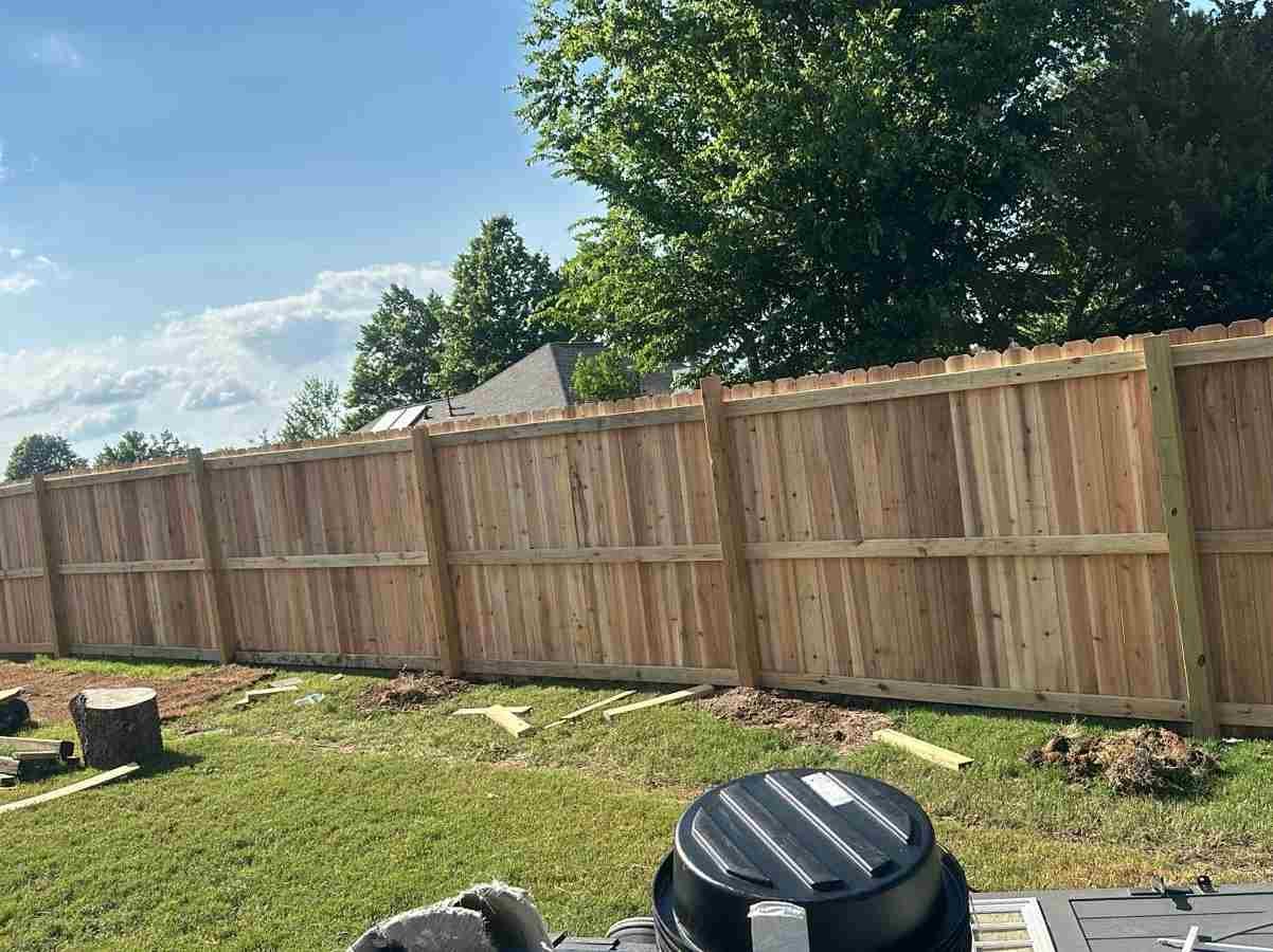 Caceres Tree Service