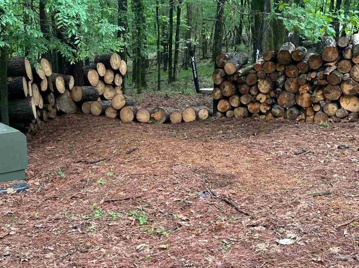 Caceres Tree Service