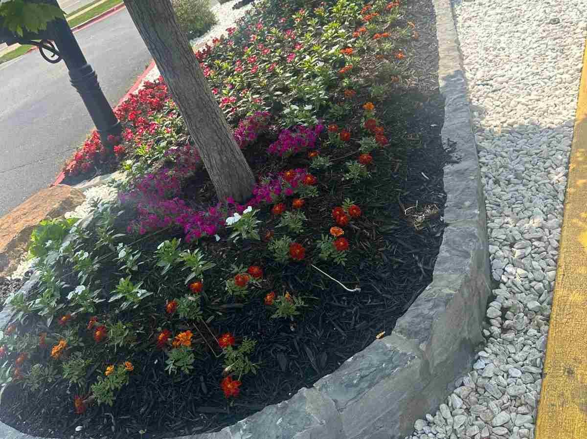 Caceres Tree Service