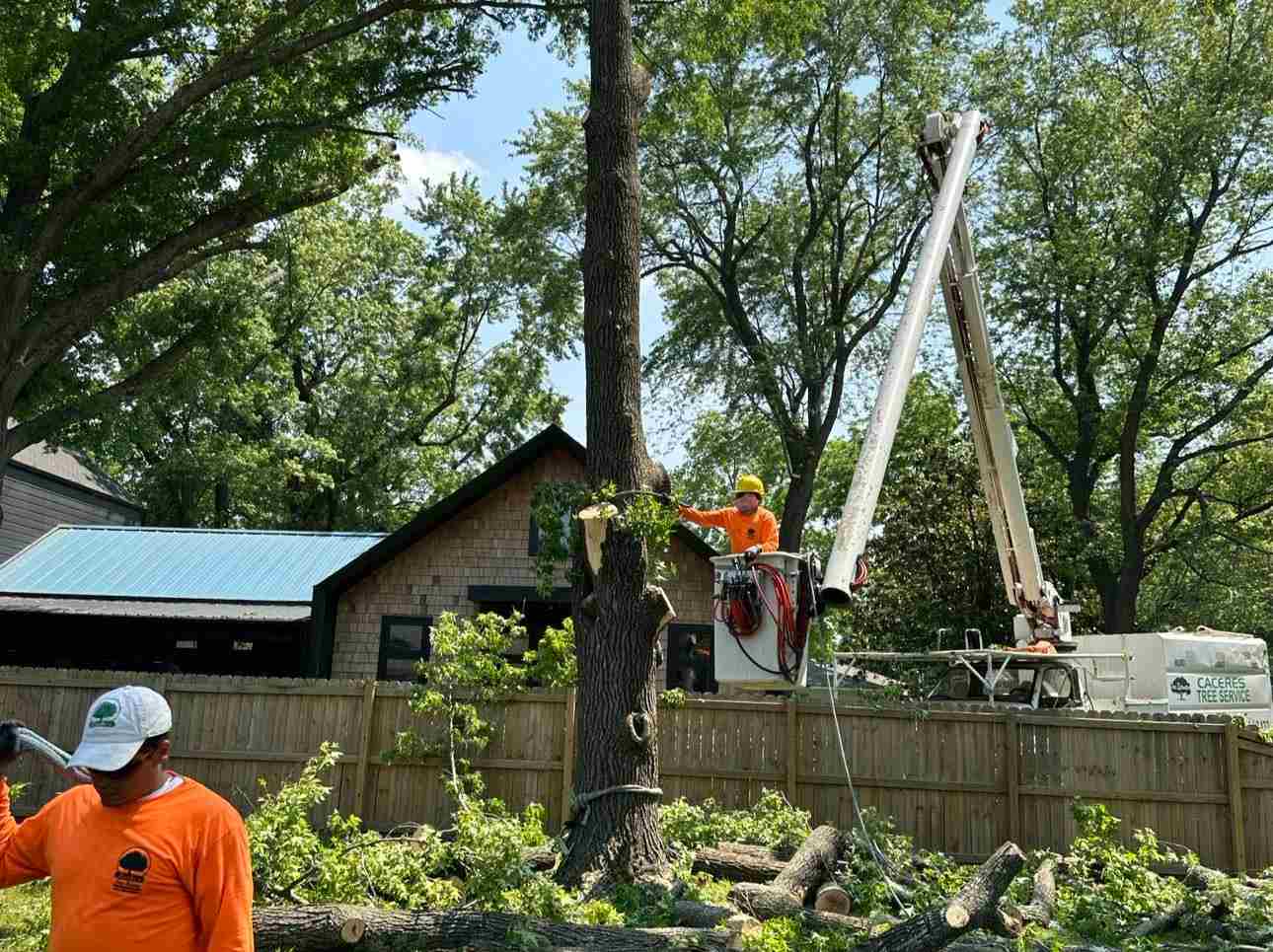 Caceres Tree Service
