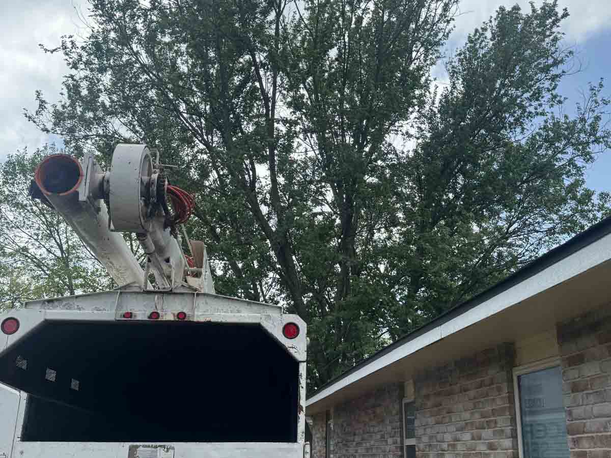Caceres Tree Service