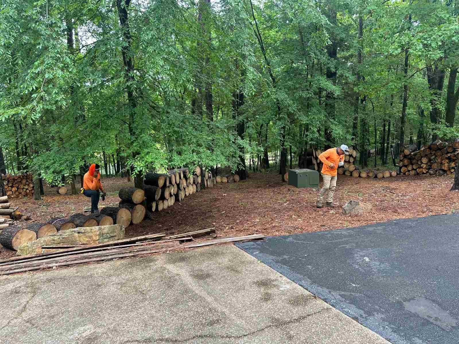 Caceres Tree Service