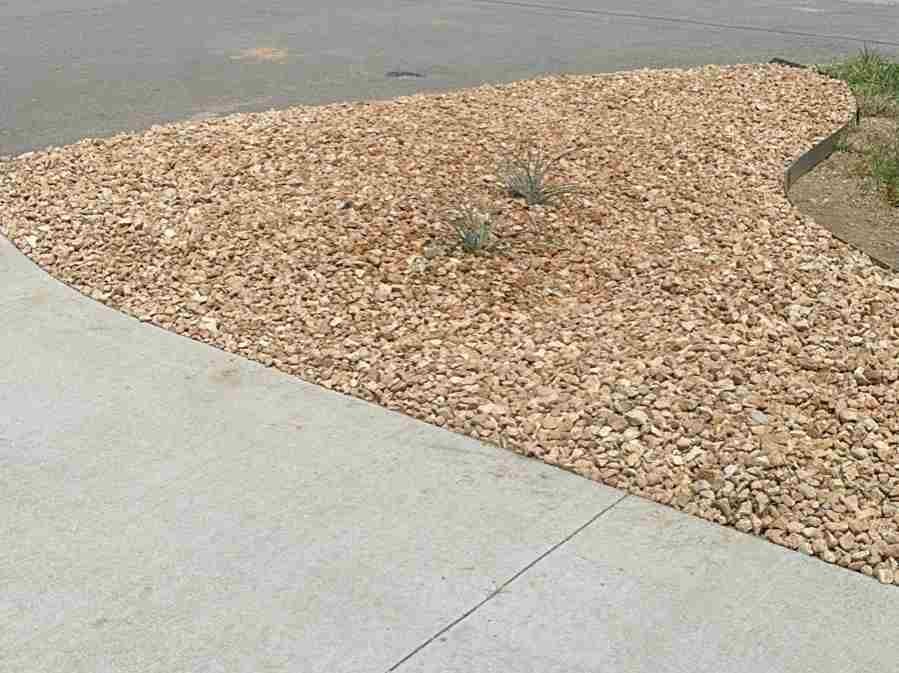Caceres Tree Service