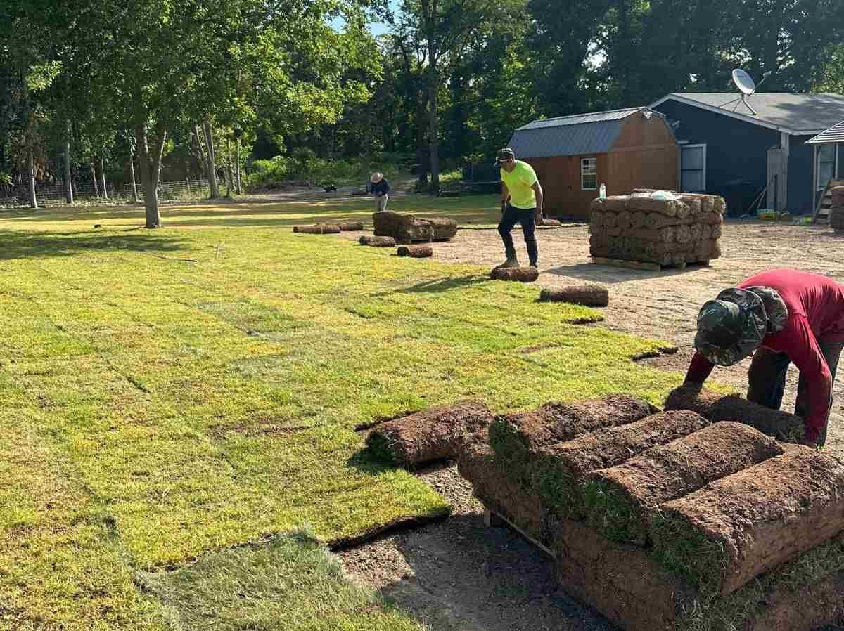 Caceres Tree Service