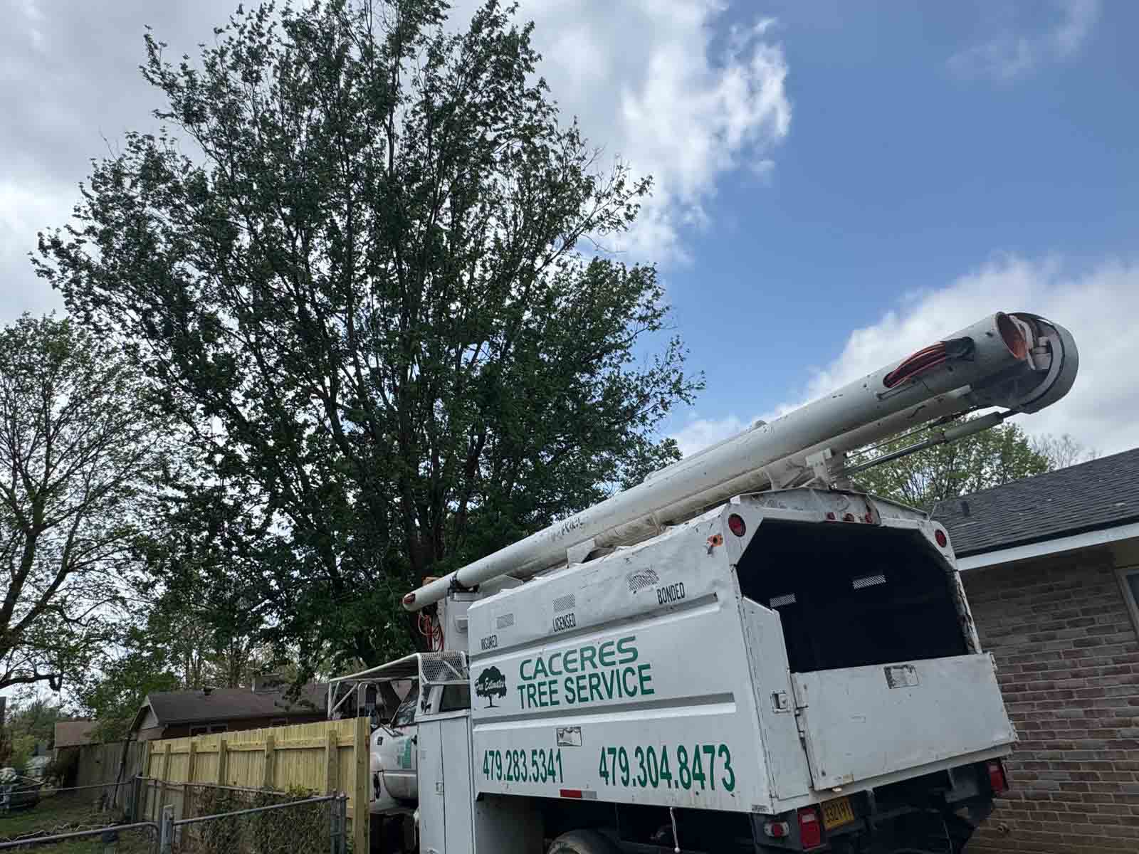 Caceres Tree Service