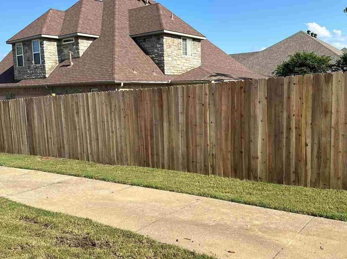 Caceres Tree Service