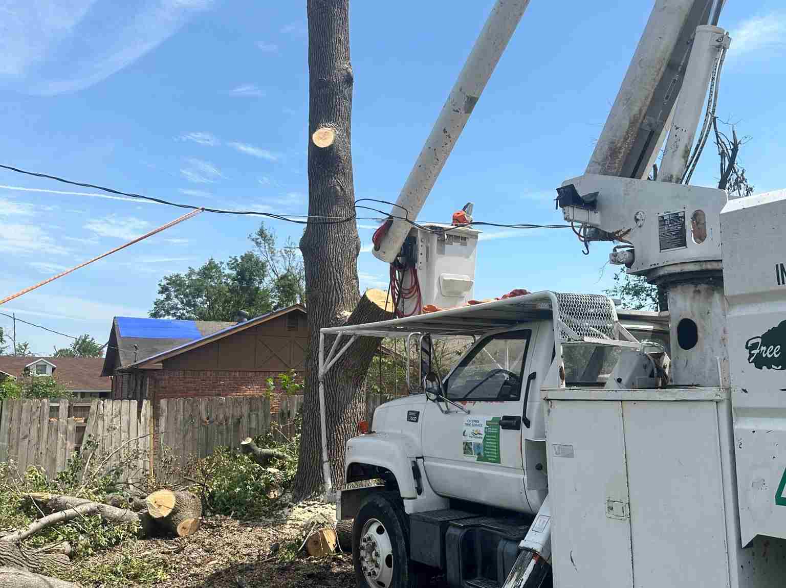 Caceres Tree Service