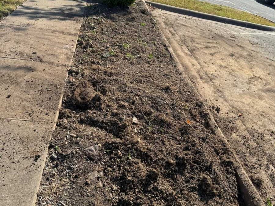 Caceres Tree Service