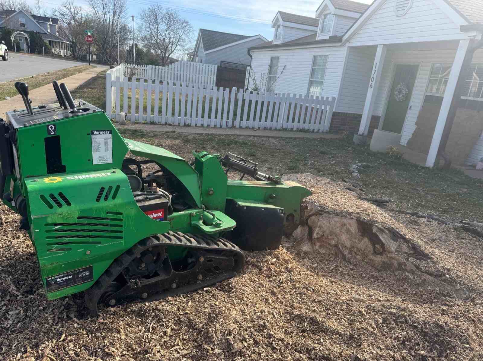 Caceres Tree Service