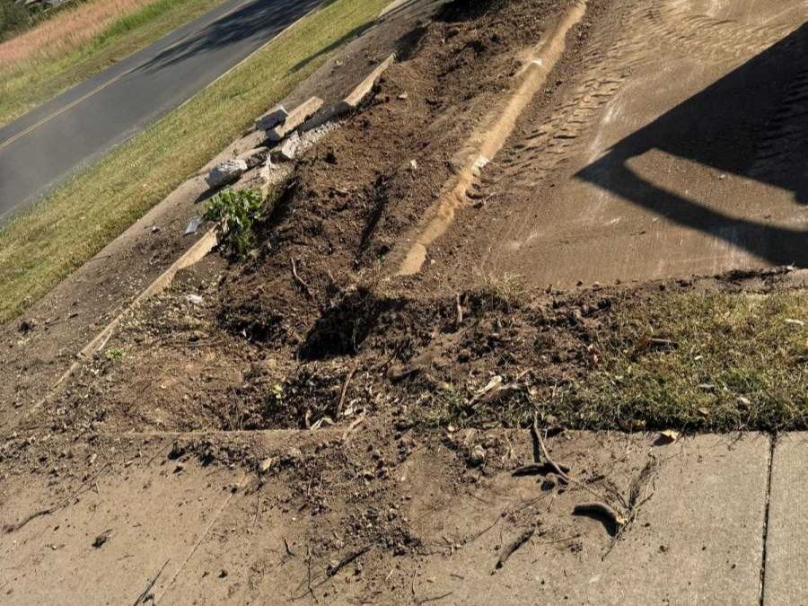 Caceres Tree Service