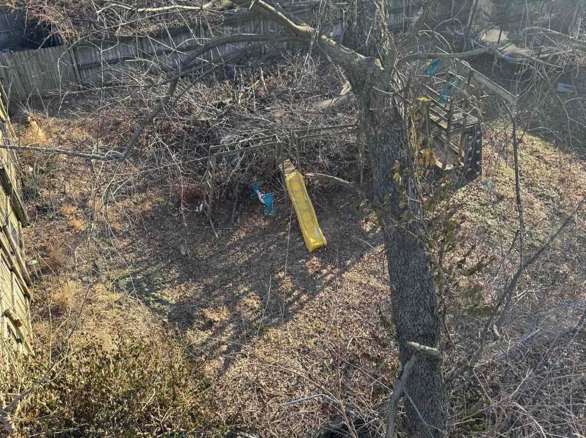 Caceres Tree Service
