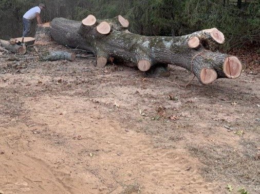 Caceres Tree Service