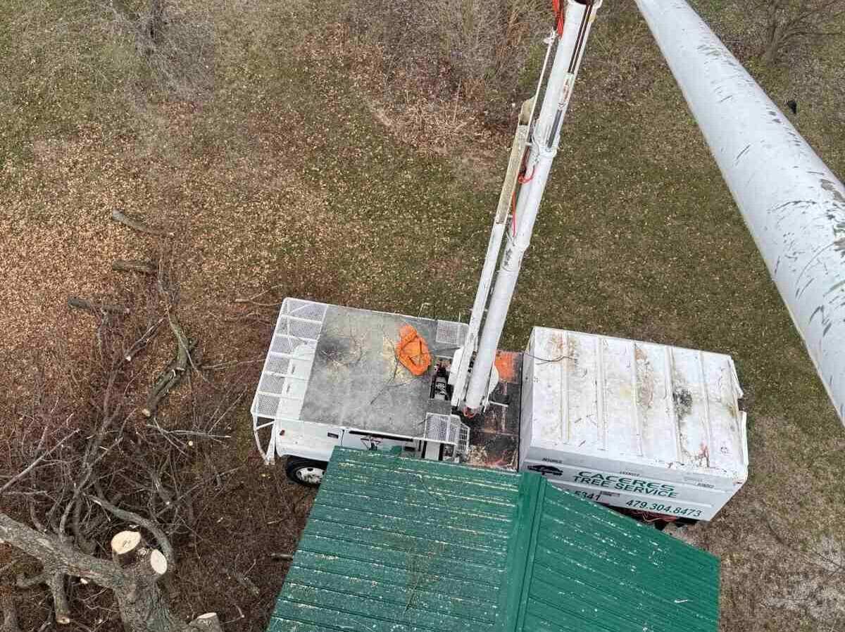 Caceres Tree Service