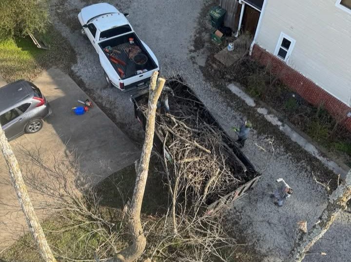 Caceres Tree Service