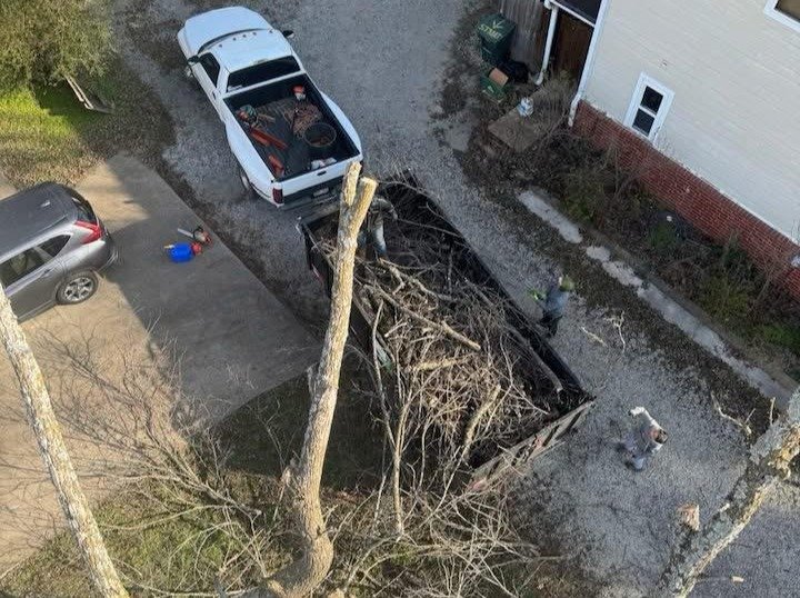 Caceres Tree Service