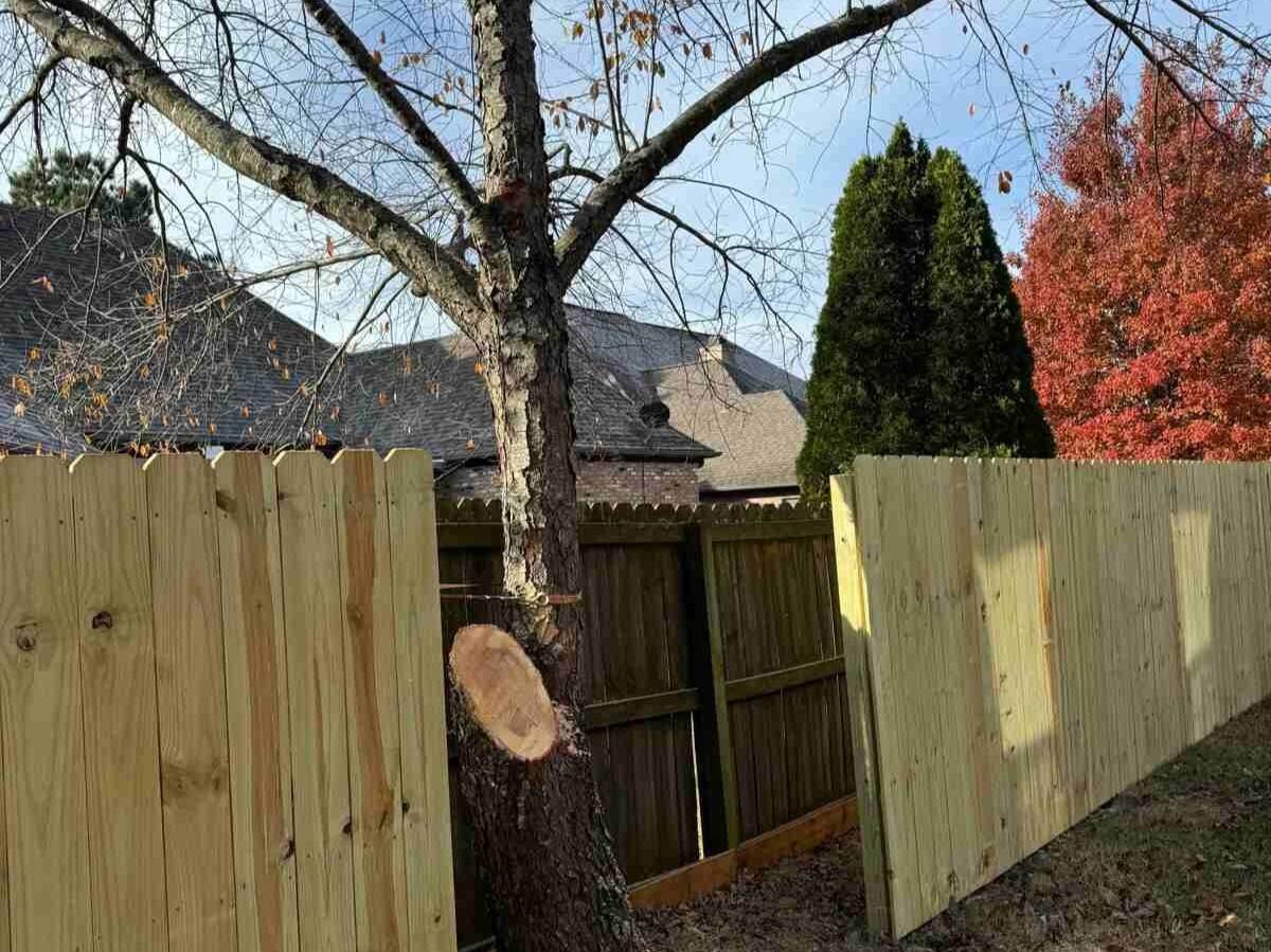 Caceres Tree Service