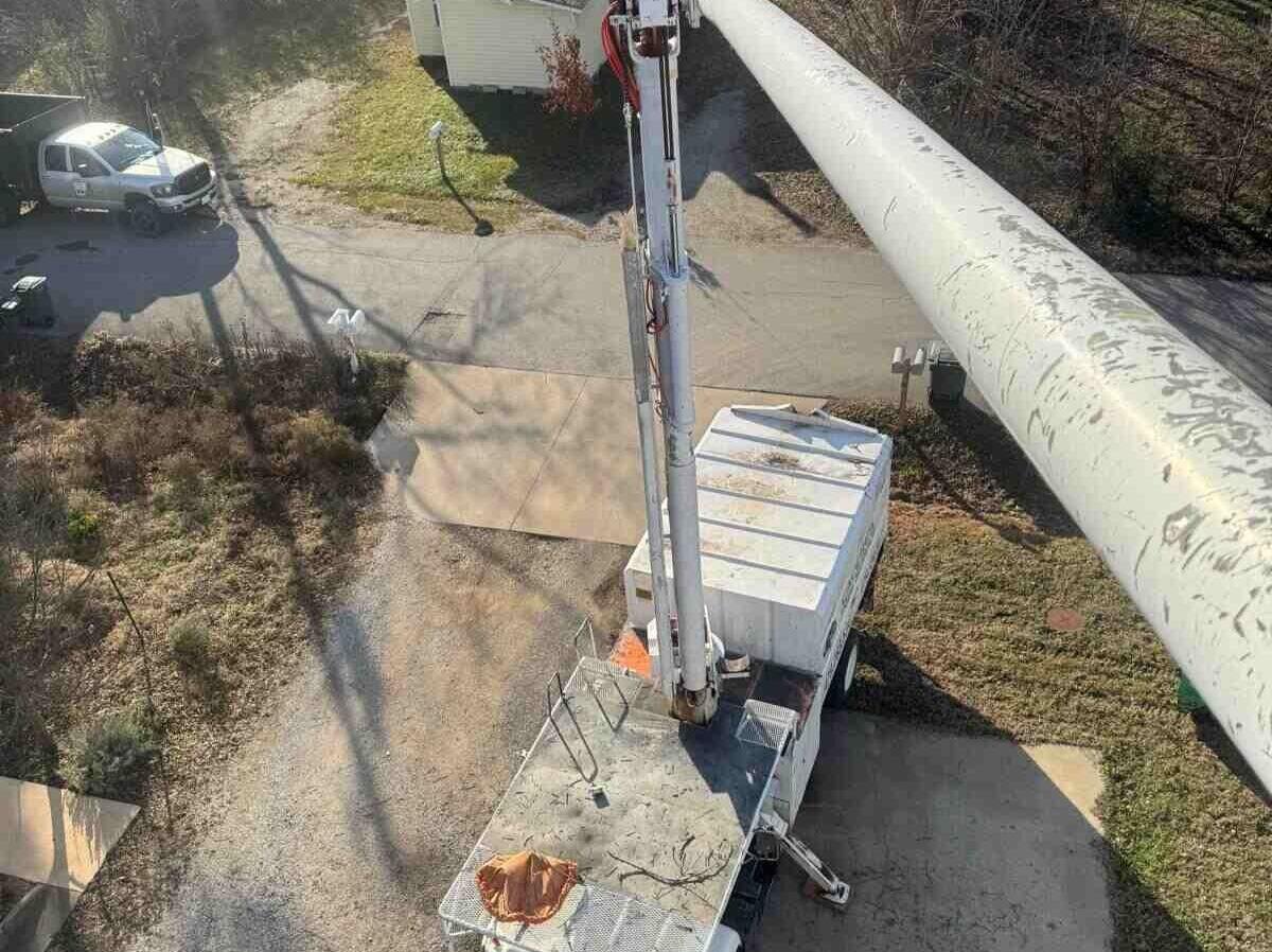Caceres Tree Service