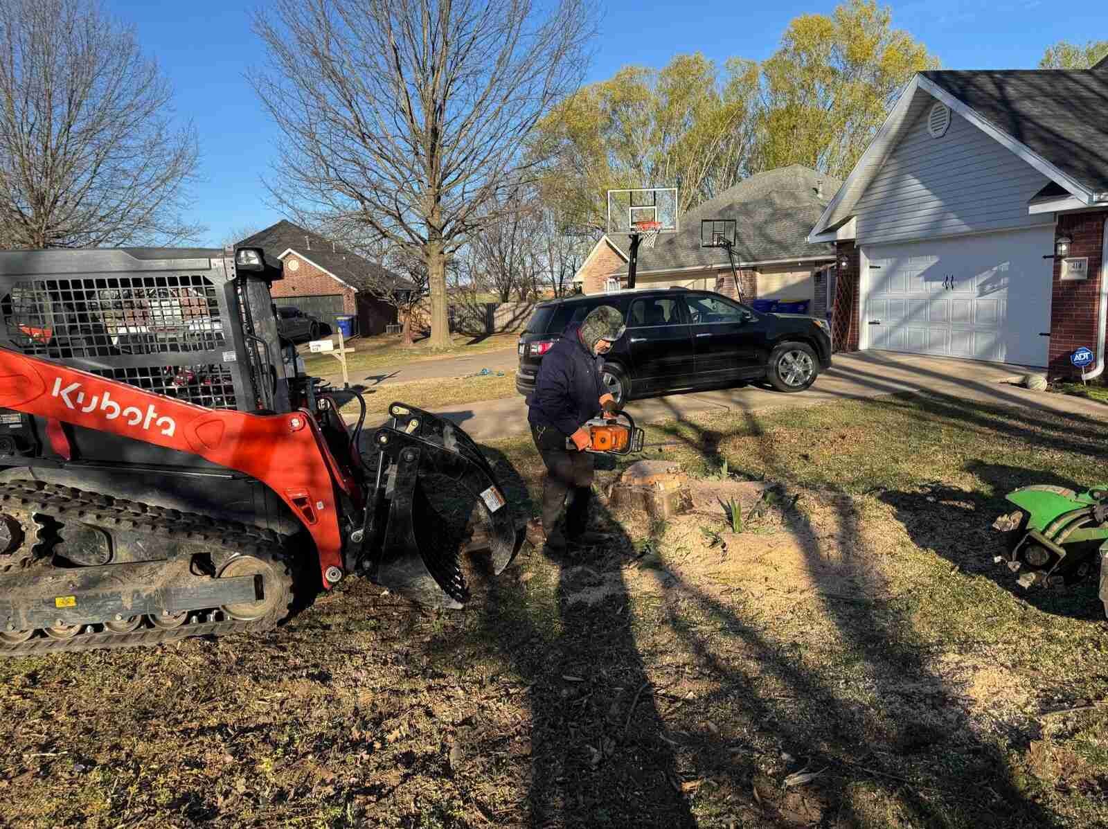 Caceres Tree Service