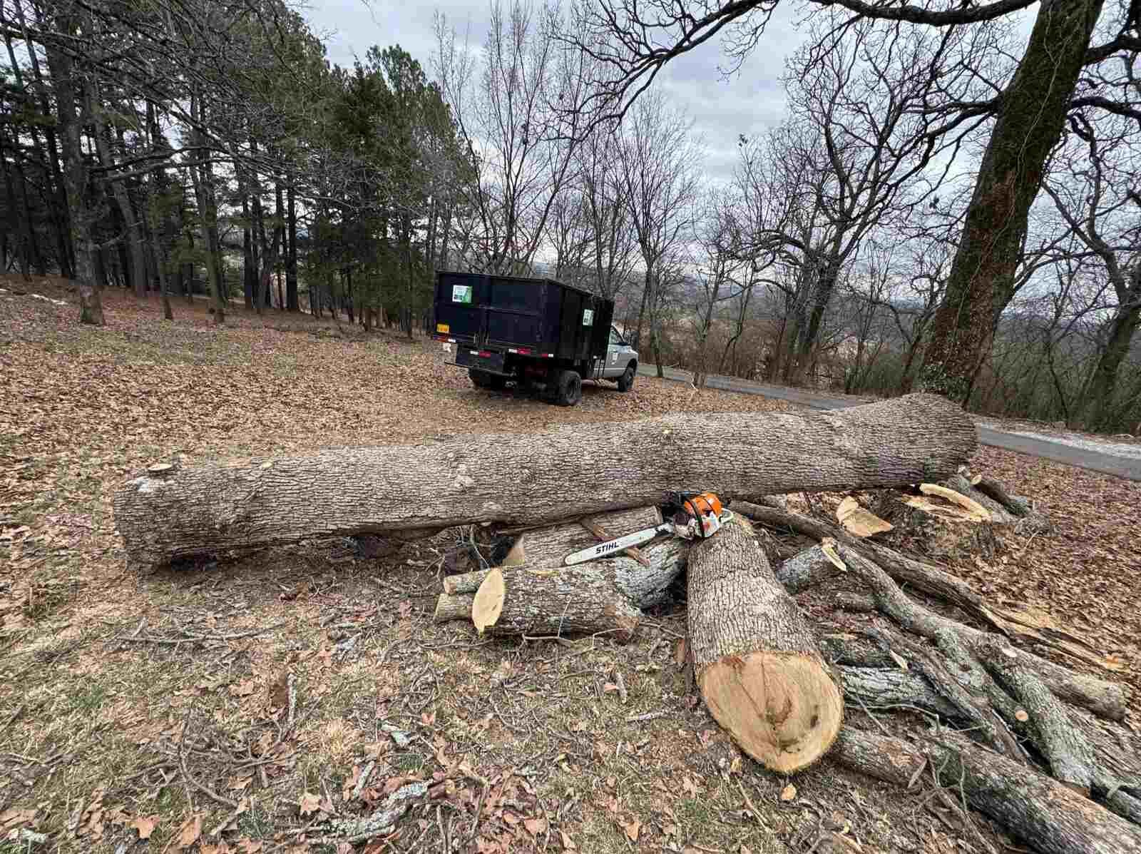 Caceres Tree Service