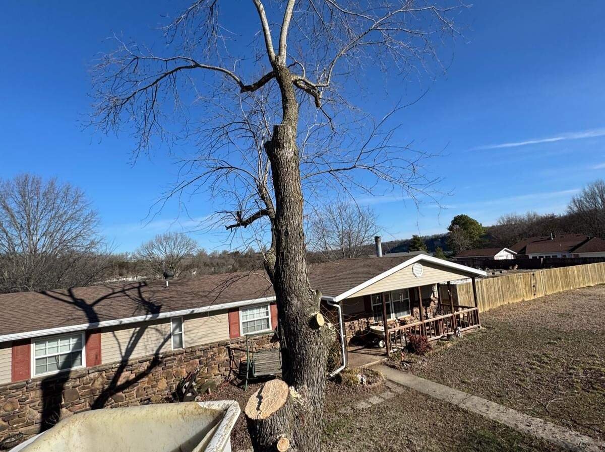 Caceres Tree Service
