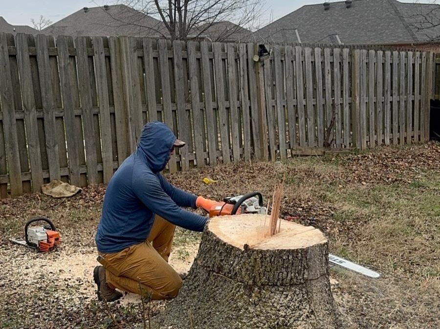 Caceres Tree Service