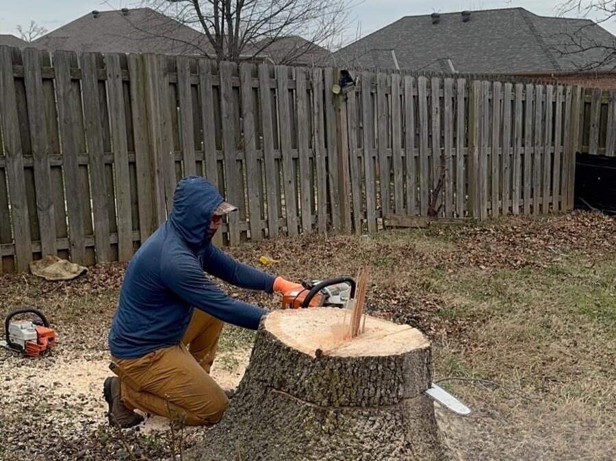 Caceres Tree Service