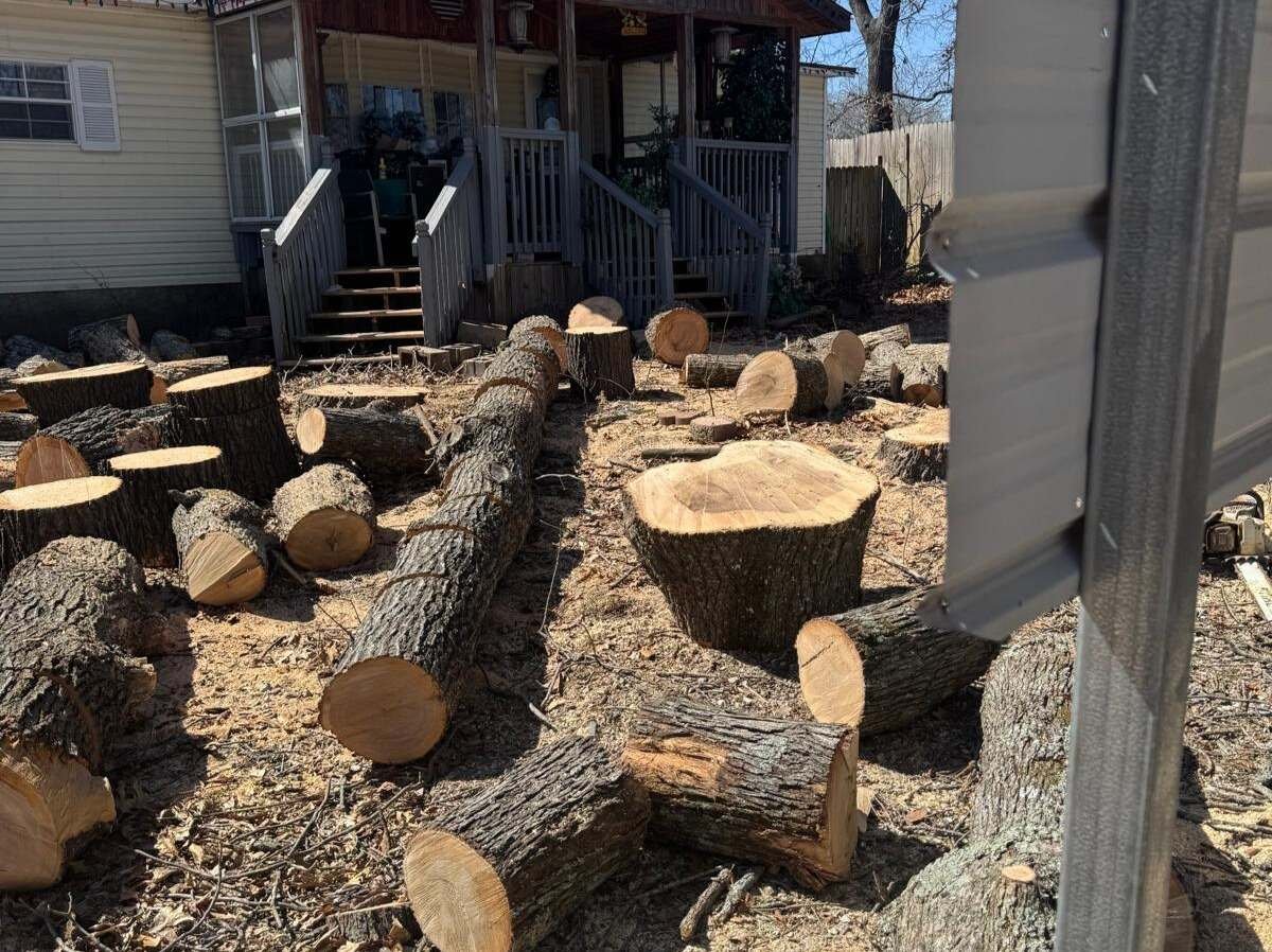 Caceres Tree Service