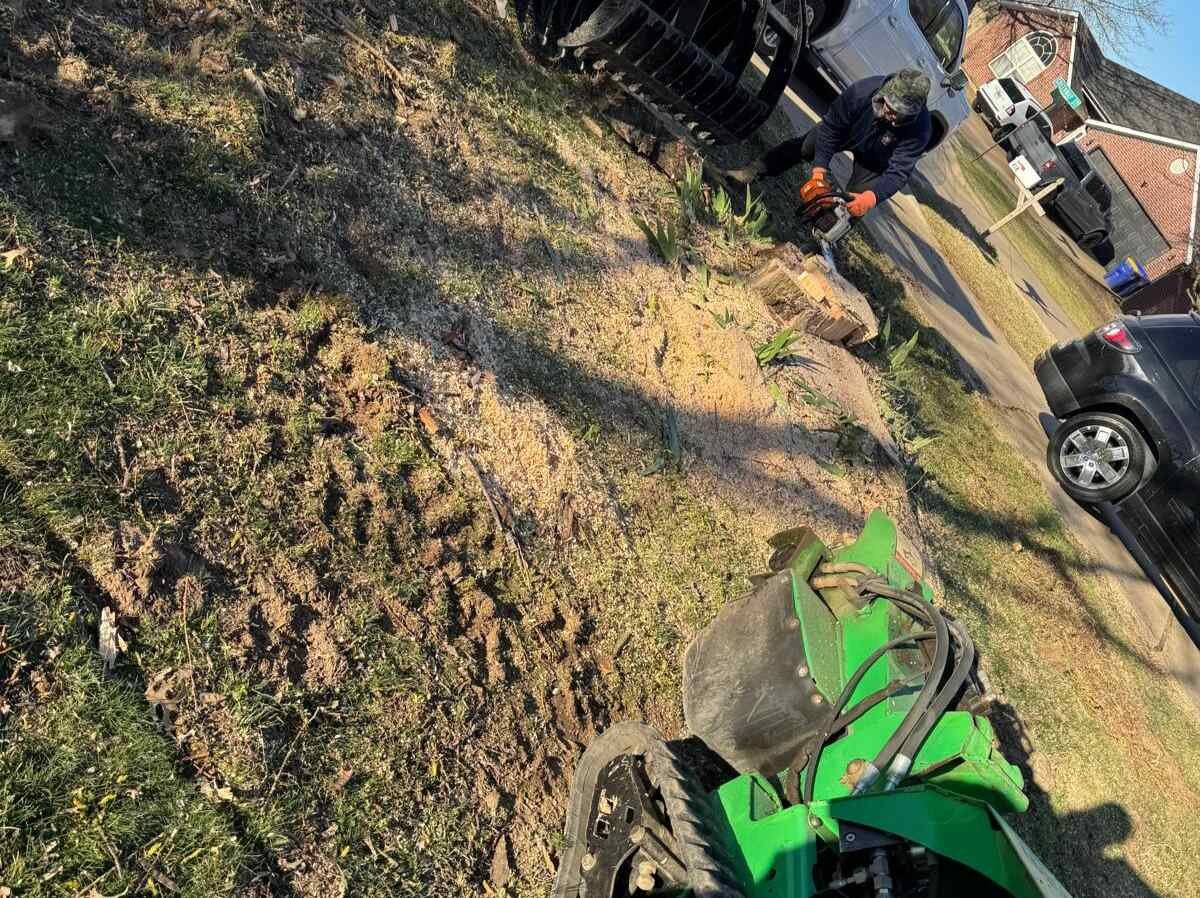 Caceres Tree Service