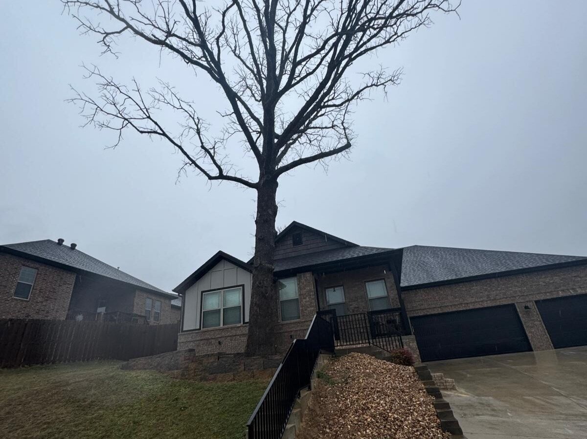 Caceres Tree Service