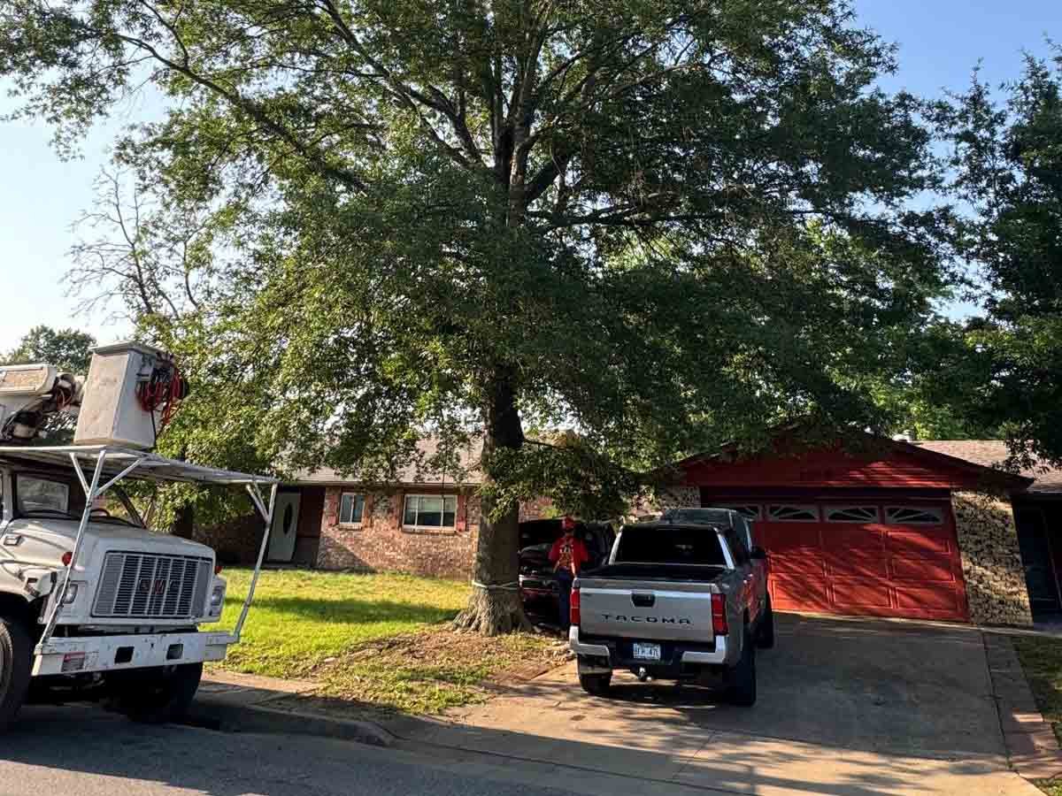 Caceres Tree Service