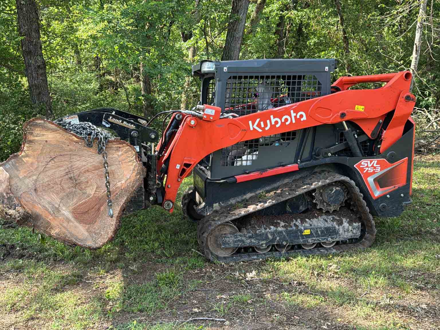 Caceres Tree Service