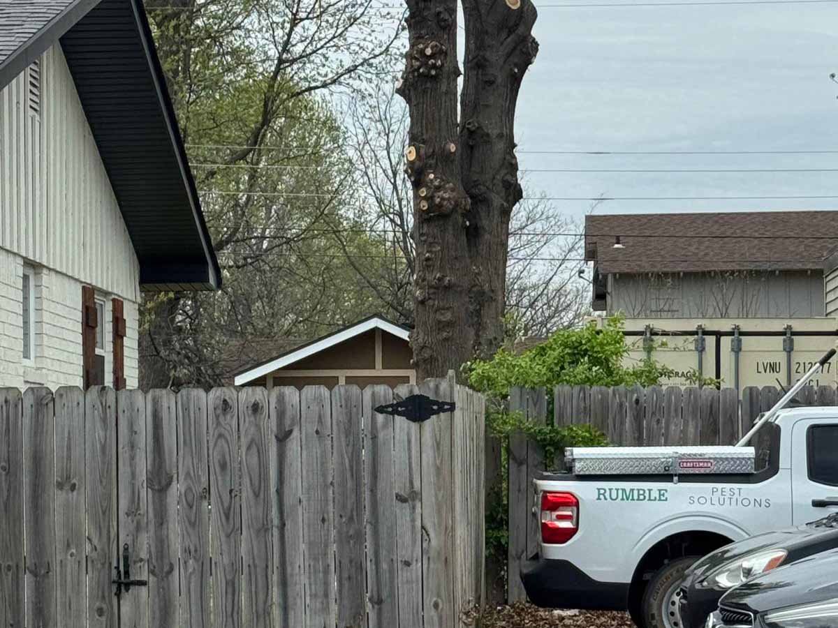Caceres Tree Service