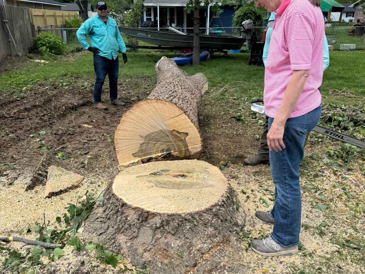Caceres Tree Service