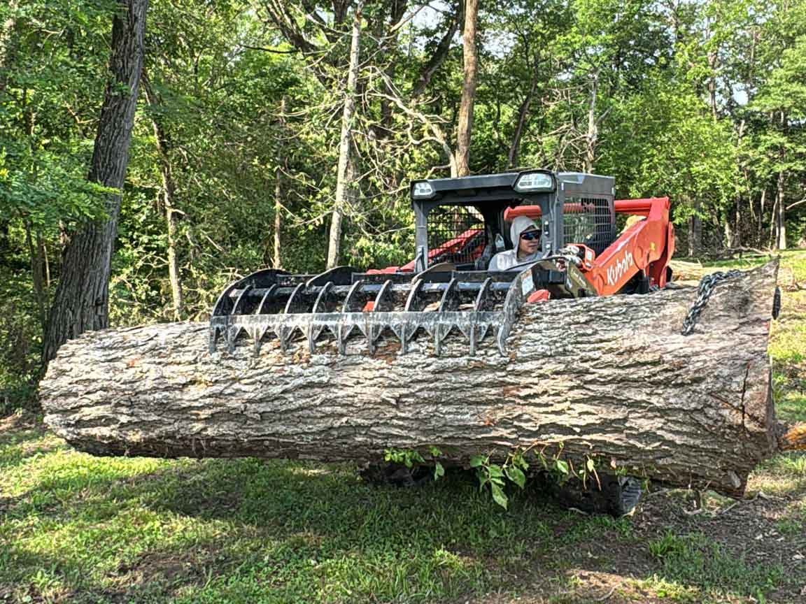 Caceres Tree Service
