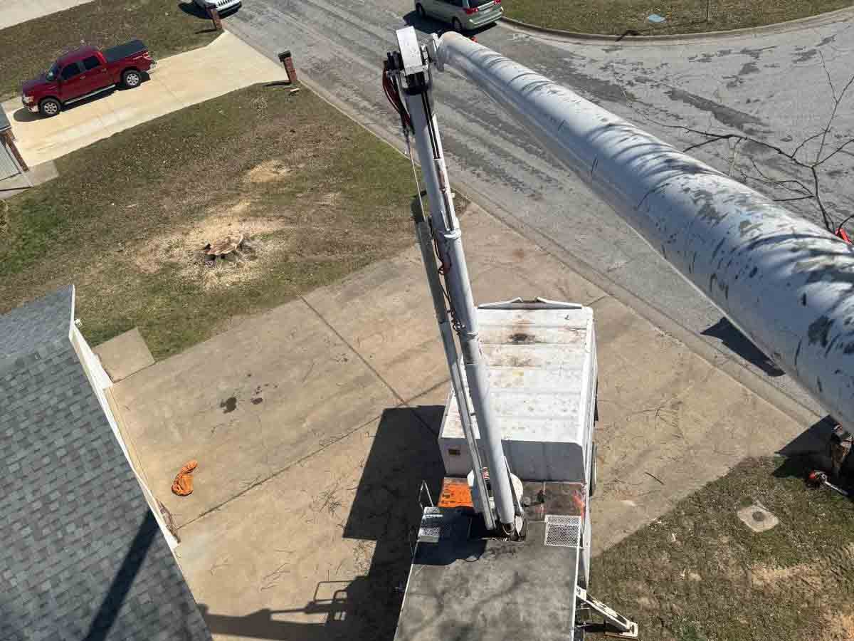 Caceres Tree Service