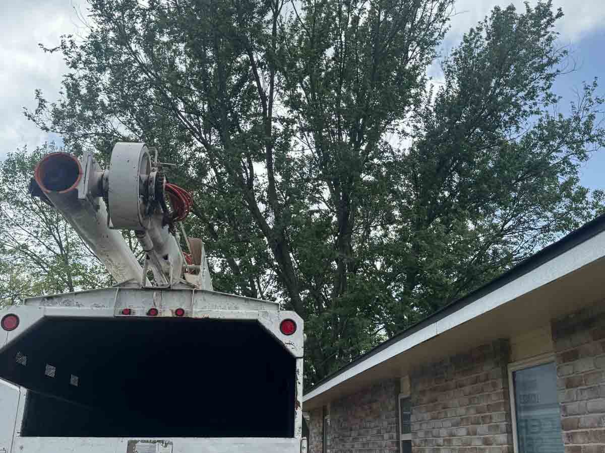 Caceres Tree Service