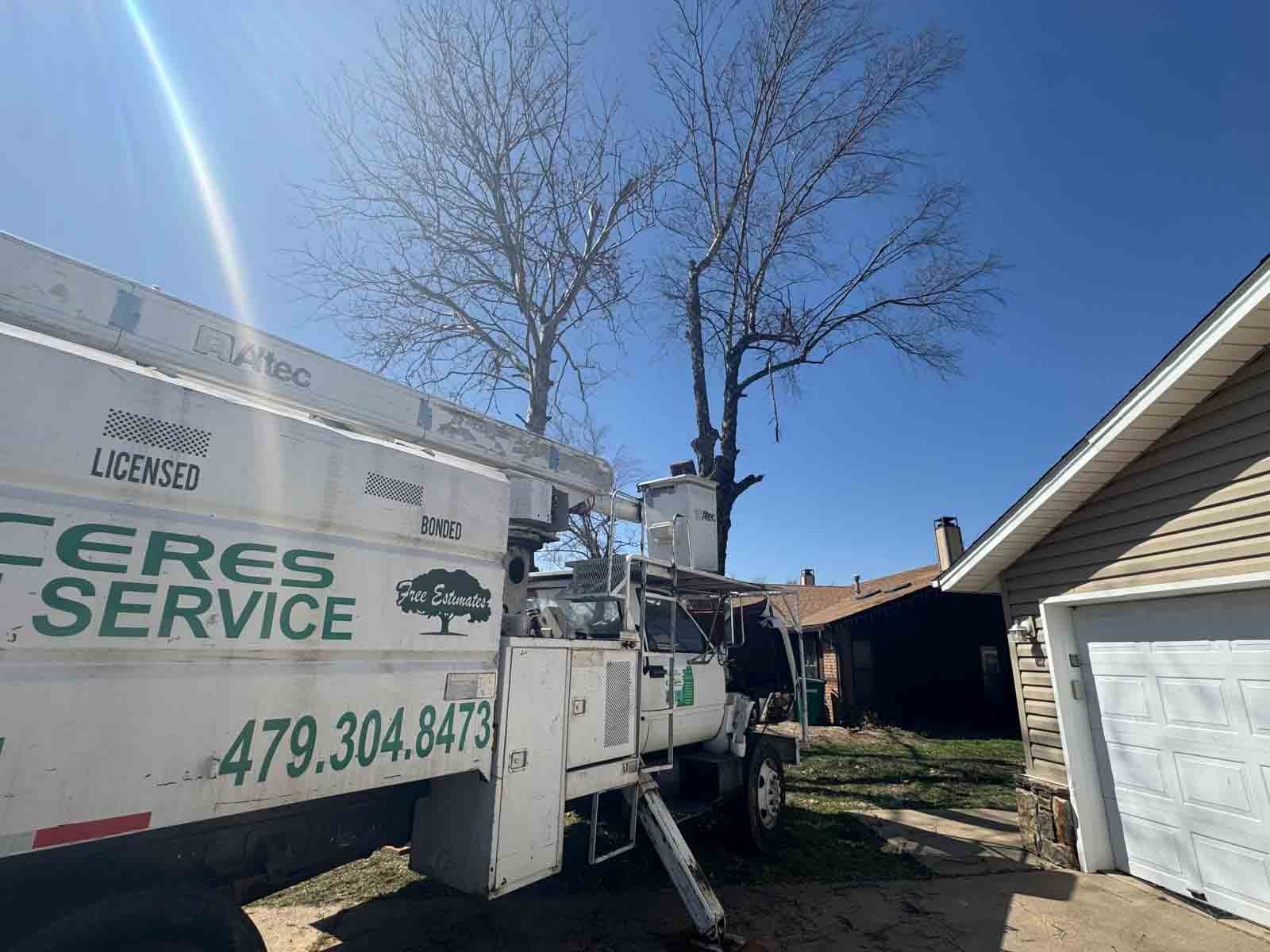 Caceres Tree Service