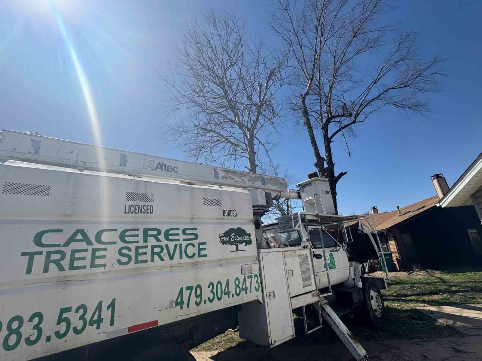 Caceres Tree Service