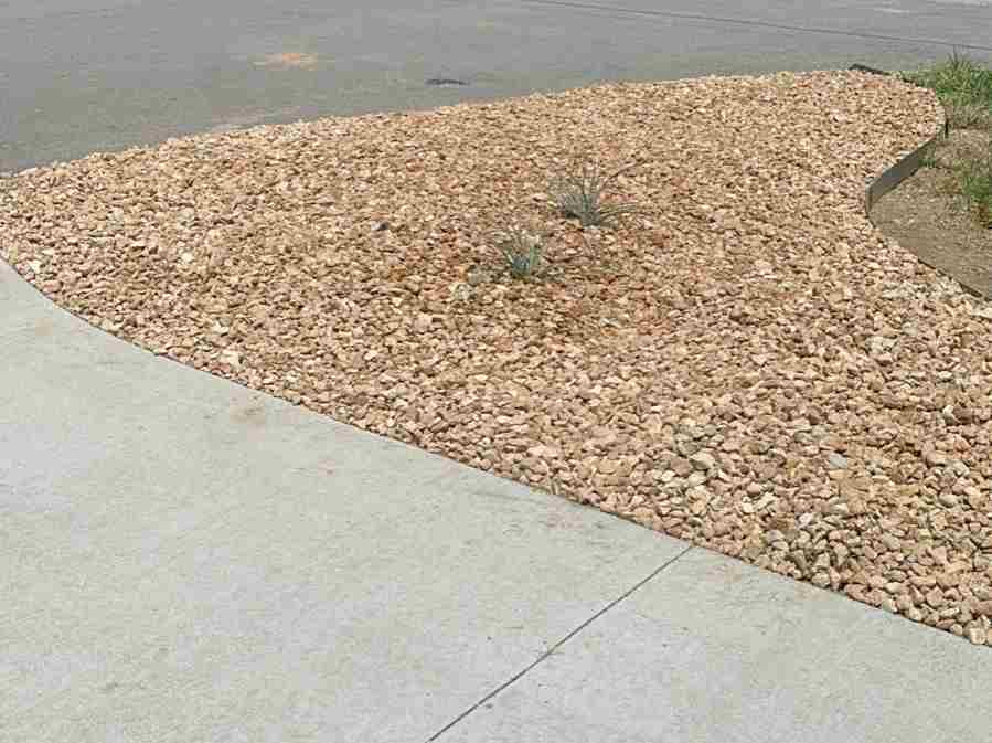 Caceres Tree Service