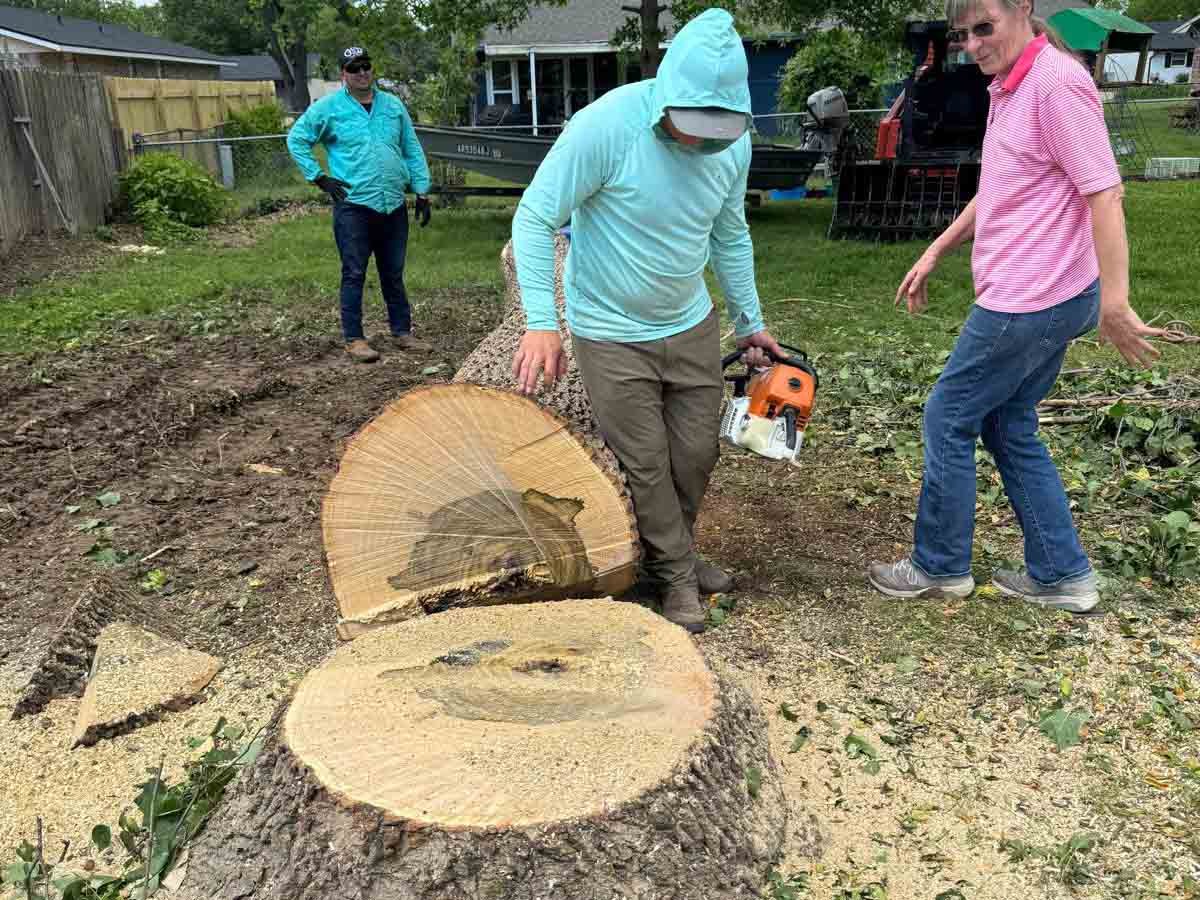 Caceres Tree Service