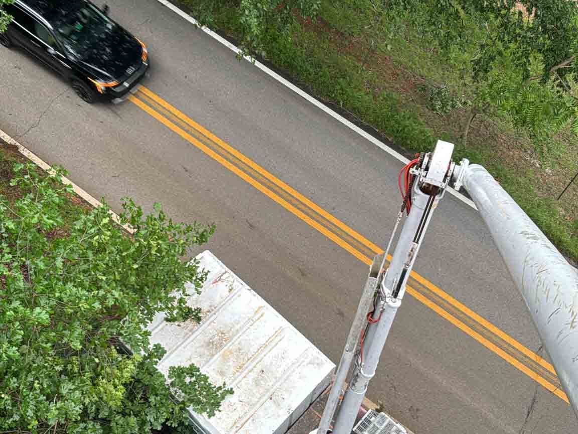 Caceres Tree Service