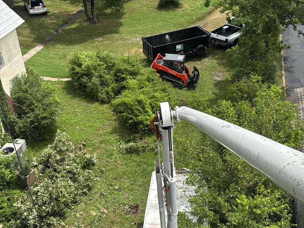 Caceres Tree Service