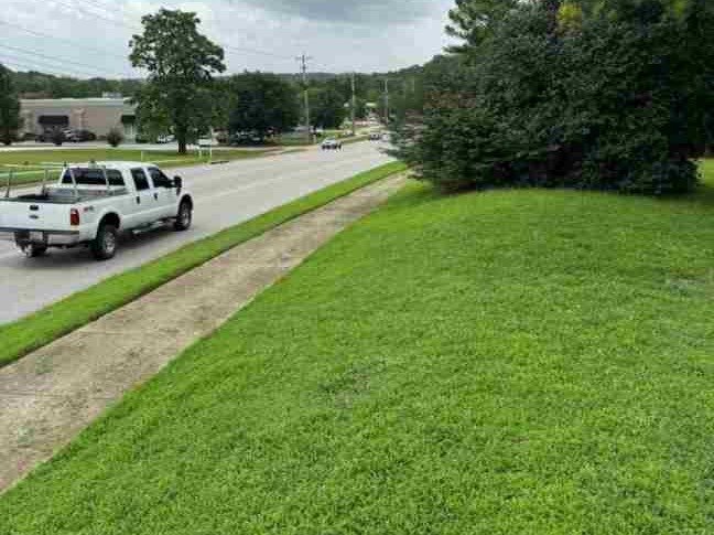 Caceres Tree Service