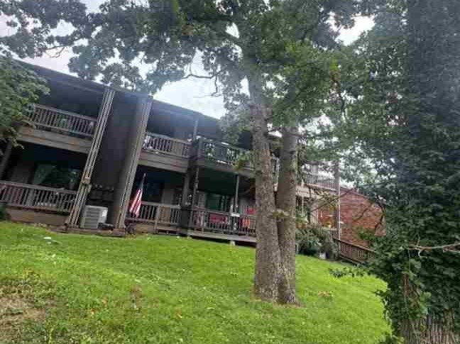 Caceres Tree Service