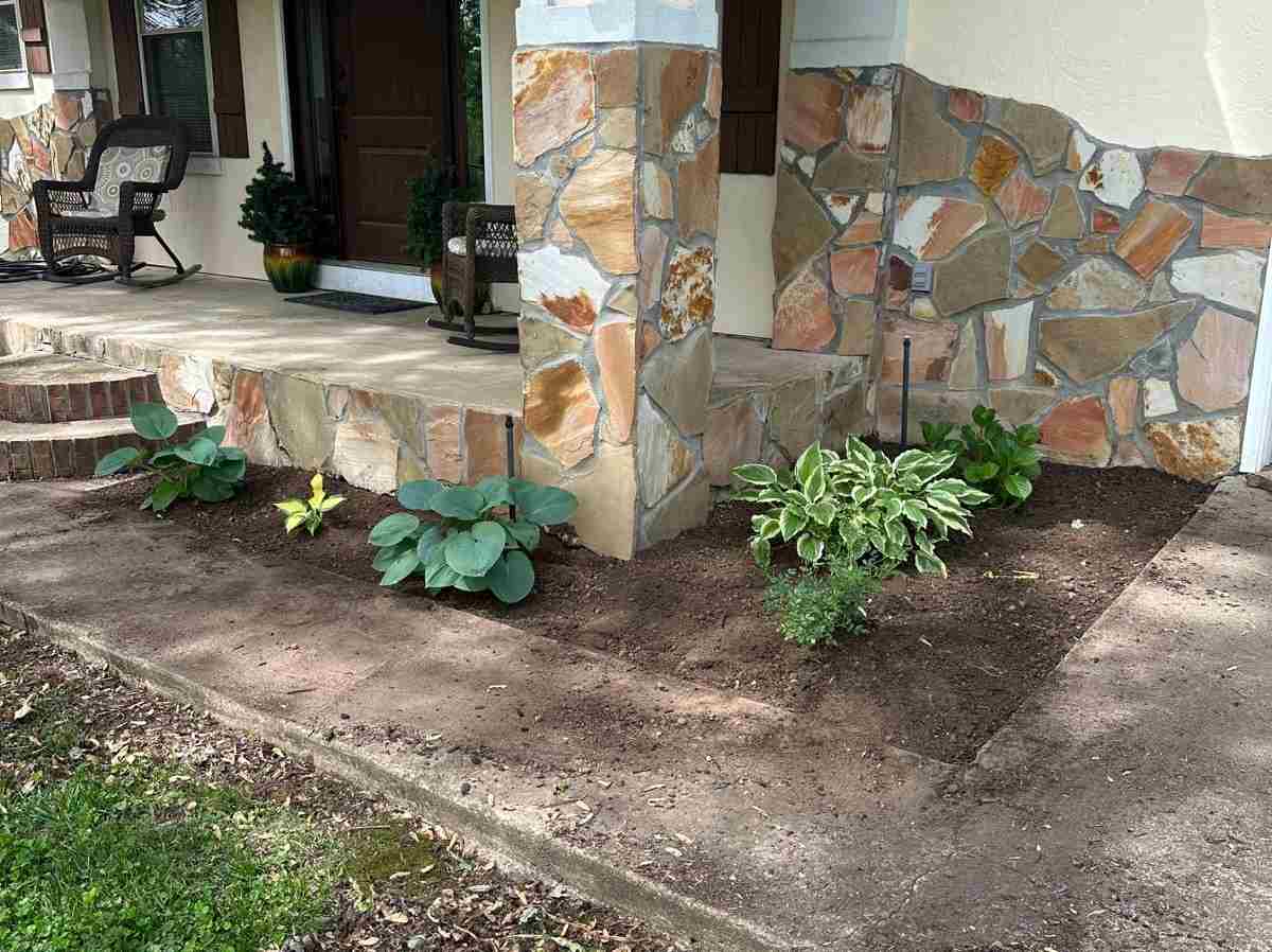 Caceres Tree Service