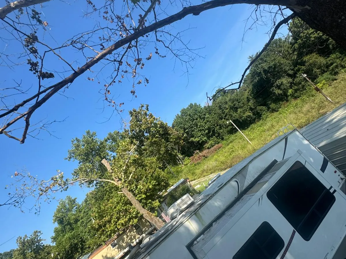 Caceres Tree Service