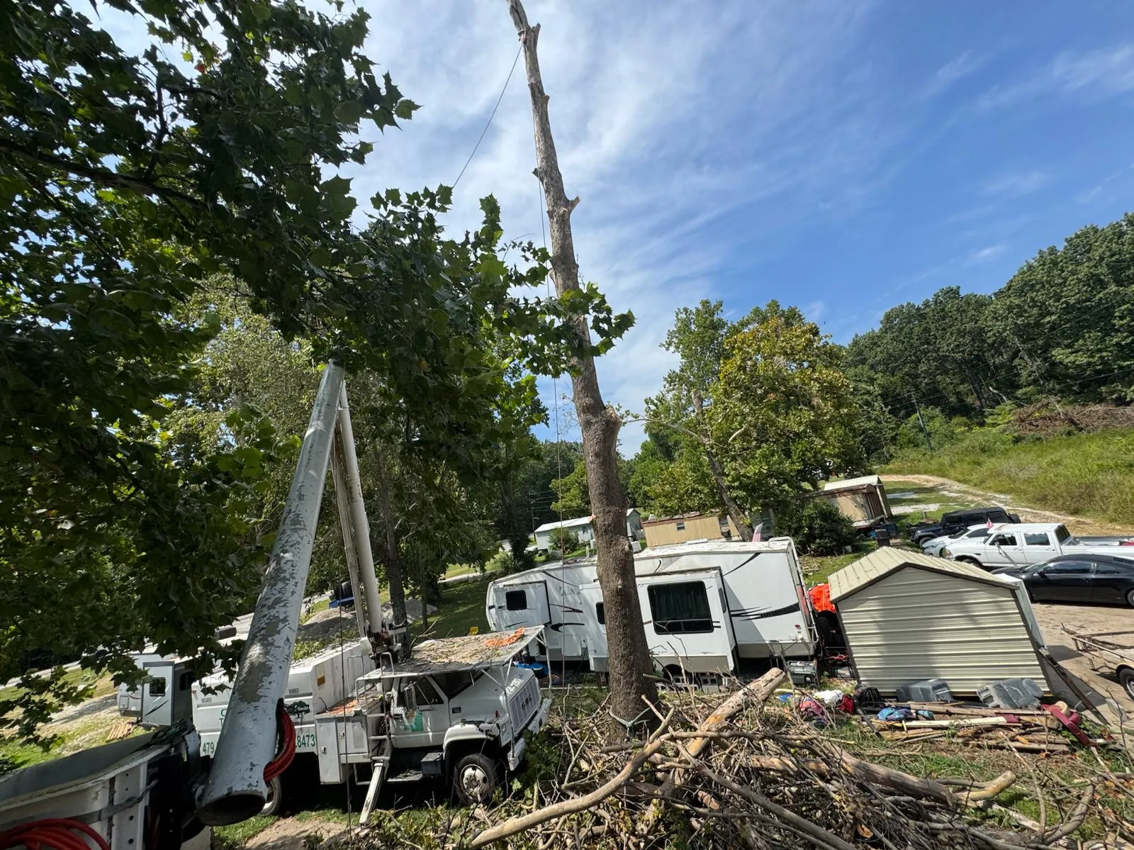 Caceres Tree Service