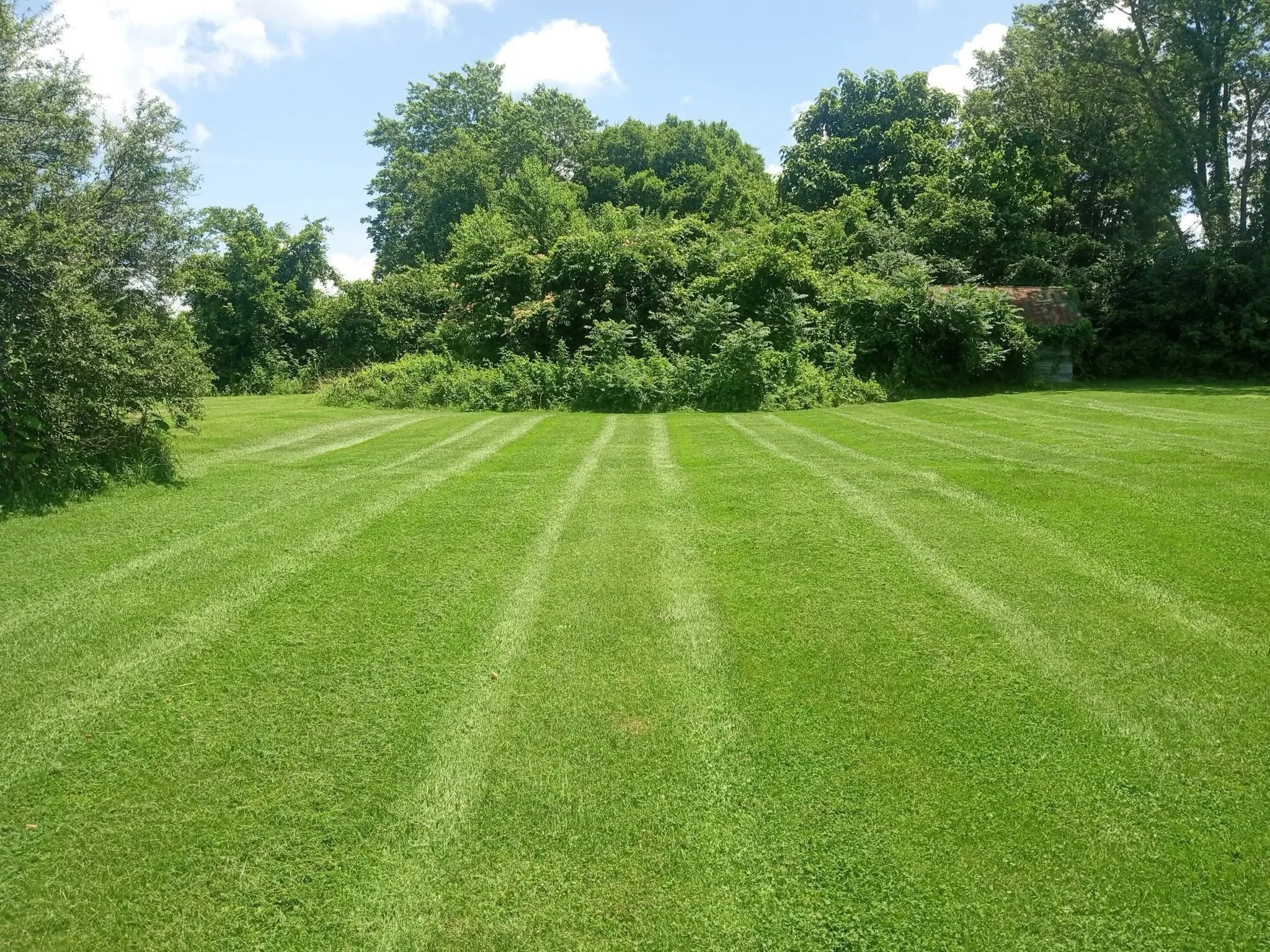 Caceres Tree Service